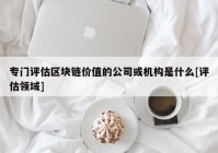 专门评估区块链价值的公司或机构是什么[评估领域]